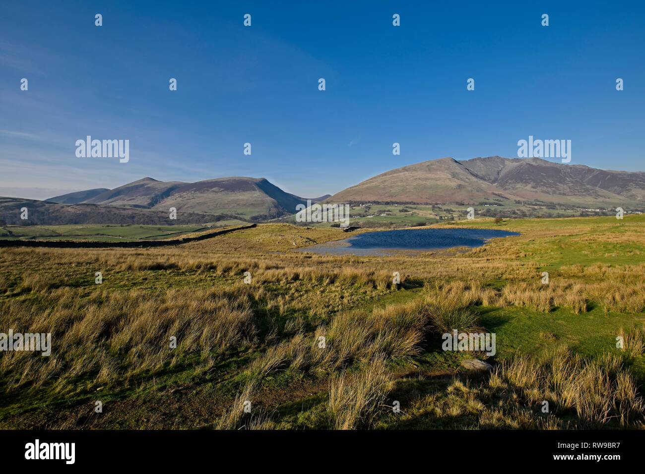 Tewet Tarn con Skiddaw e Blencathra dietro. Foto Stock