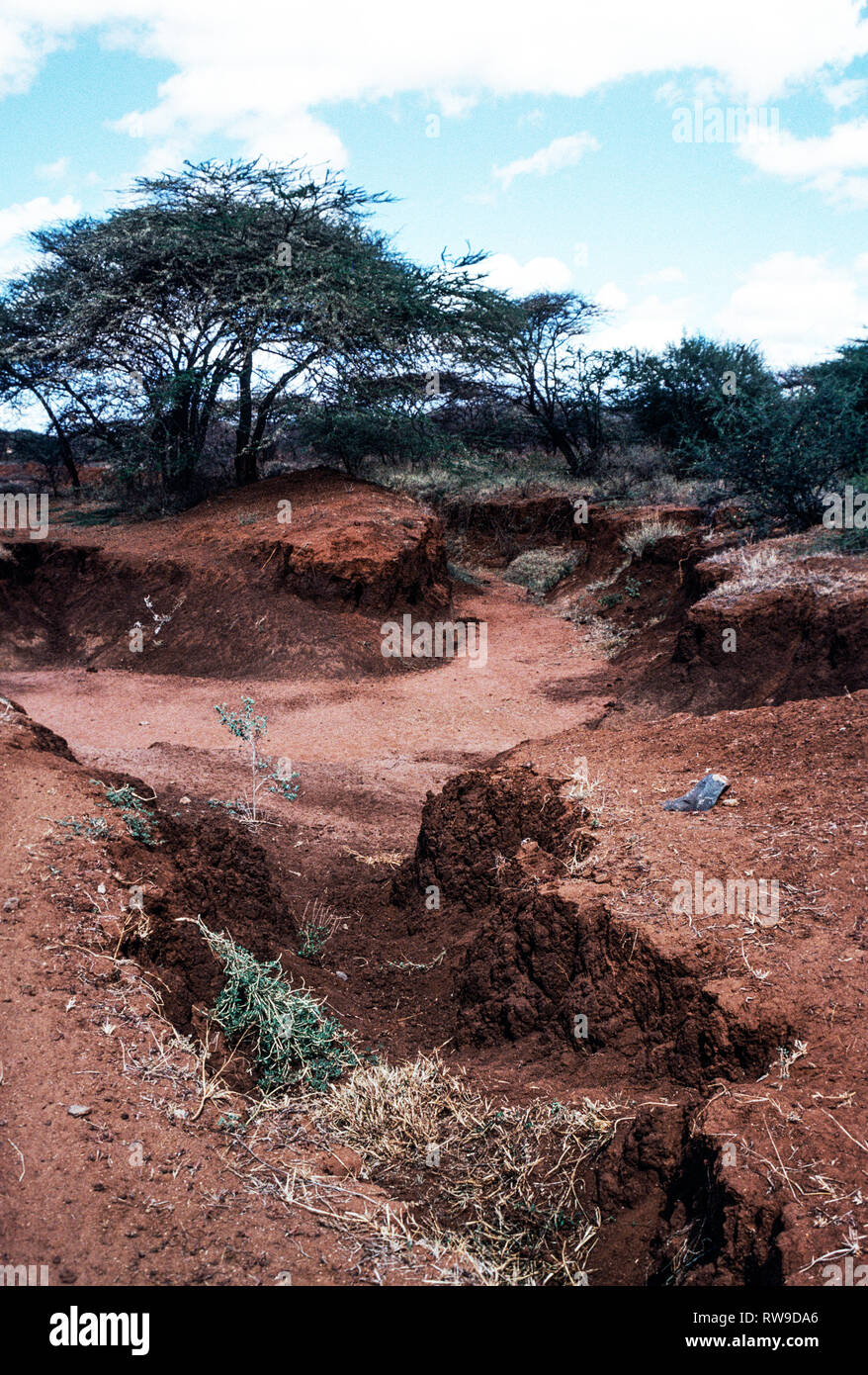 La terra rossa ed essiccato fino ai corsi d'acqua sono tipici del Kenya settentrionale della Provincia di Frontiera.l Africa orientale. Foto Stock