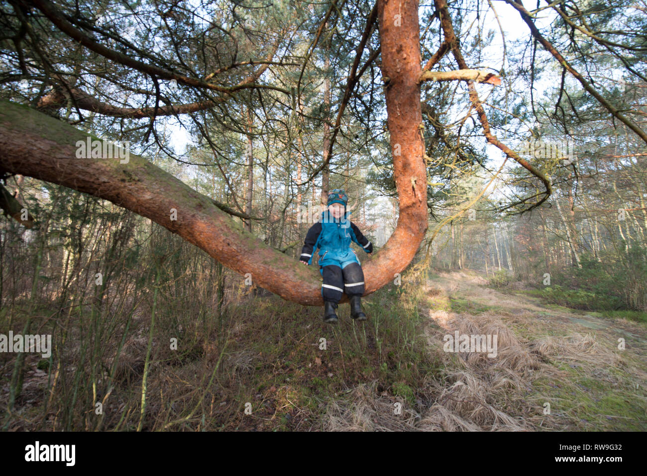 La Svezia, figlio, figlia, nonni Foto Stock