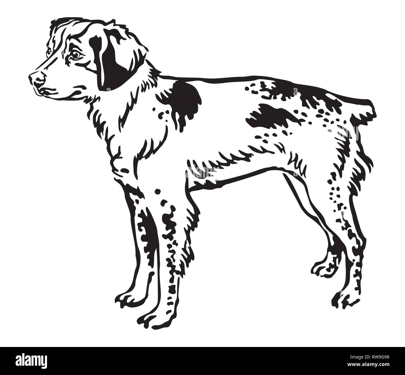 Profilo decorativo ritratto monocromatico di standing in profilo Brittany cane, vettore illustrazione isolato in colore nero su sfondo bianco Illustrazione Vettoriale