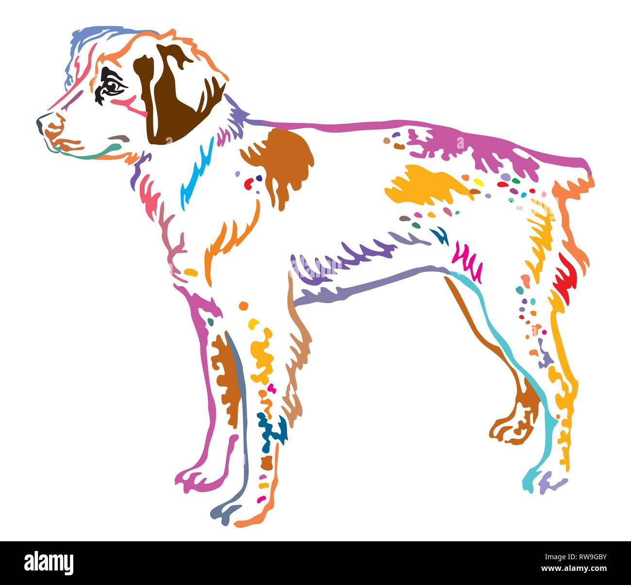 Contorno colorato decorativo di ritratto in piedi di profilo cane Brittany, vettore illustrazione isolato su sfondo bianco Illustrazione Vettoriale
