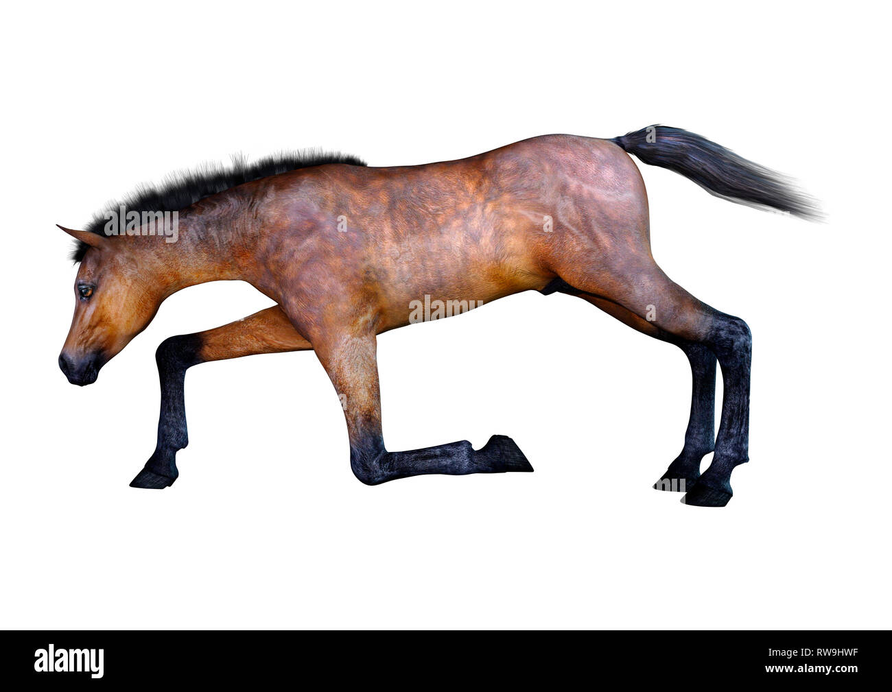 3D rendering di una baia a cavallo puledro isolati su sfondo bianco Foto Stock