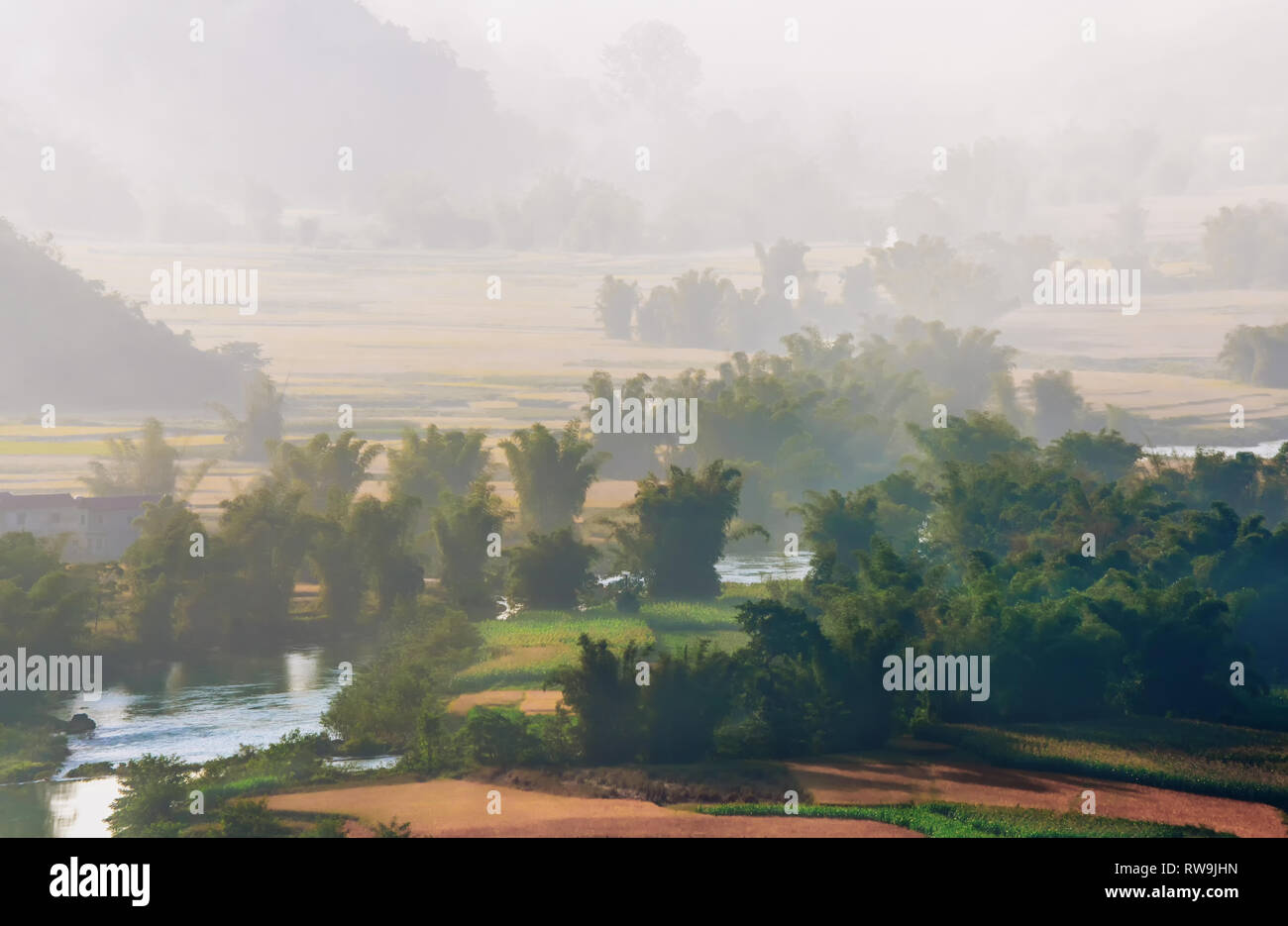 Bellissimo il passo di riso terrazza racchetta in campo il tramonto e l'alba a Trung Khanh, Cao Bang. ao Bang è bella in natura luogo in Vietnam Foto Stock