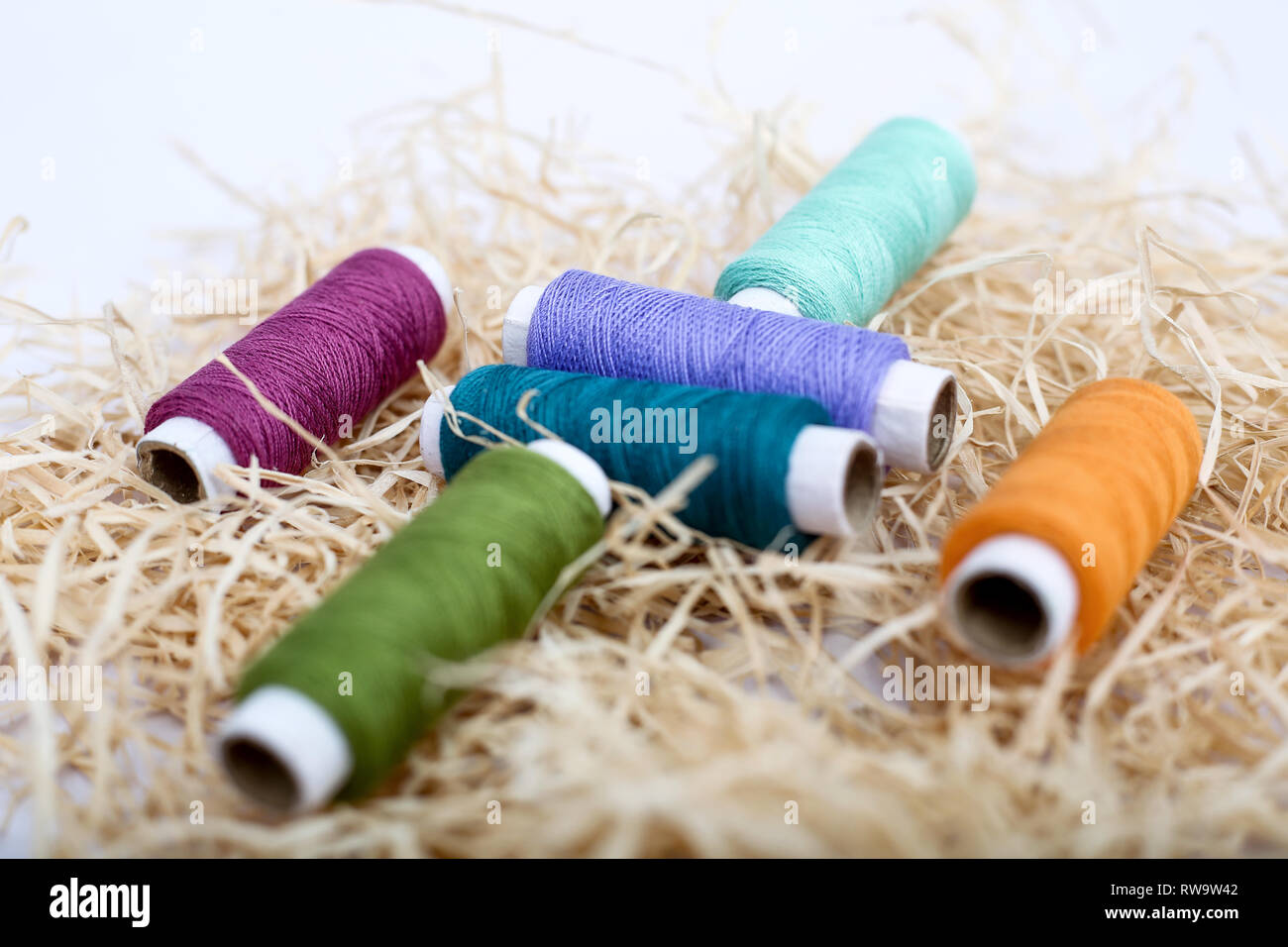 Multi colore filo di cucitura sul rafi erba. Isolato su uno sfondo bianco. Foto Stock