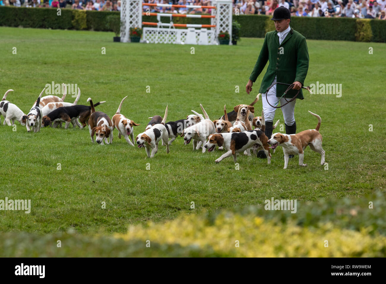 Harrogate, North Yorkshire, Regno Unito - Luglio 12th, 2018: Hunt leader hanno portato decine di segugi nell'anello principale presso la grande Yorkshire Visualizza il 12 luglio 2018 un Foto Stock