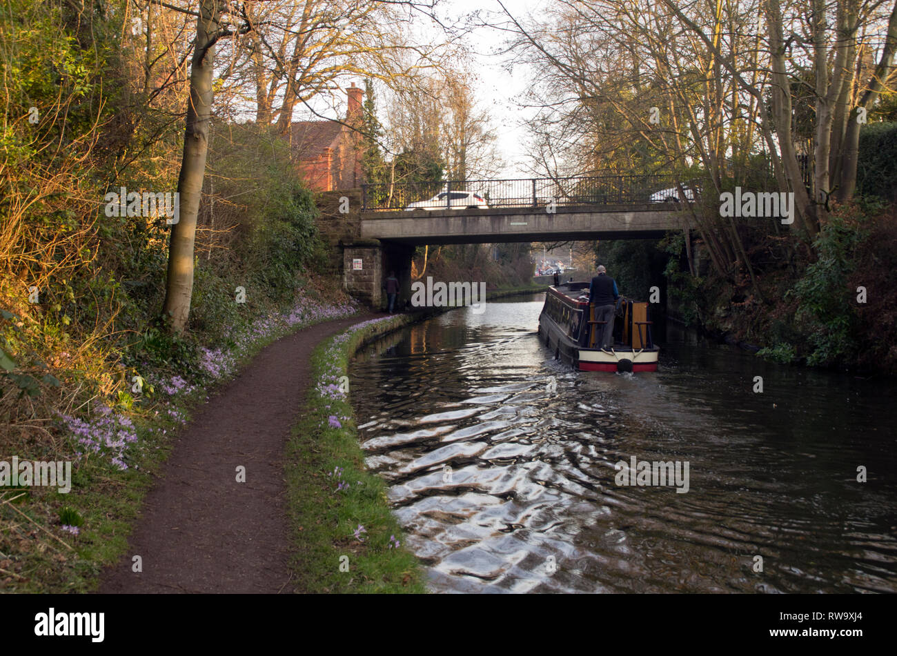 Barca stretta su Bridgewater Canal, vicino a Lymm Cheshire Foto Stock