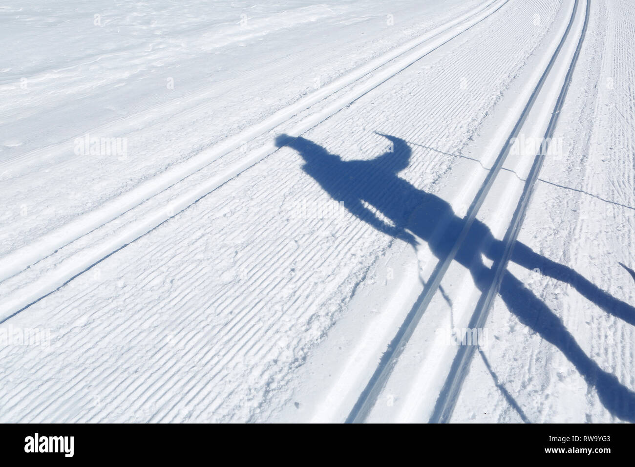 L ombra di un uomo in sci di fondo trail, San Martino di Castrozza, Trento, Italia, Europa Foto Stock
