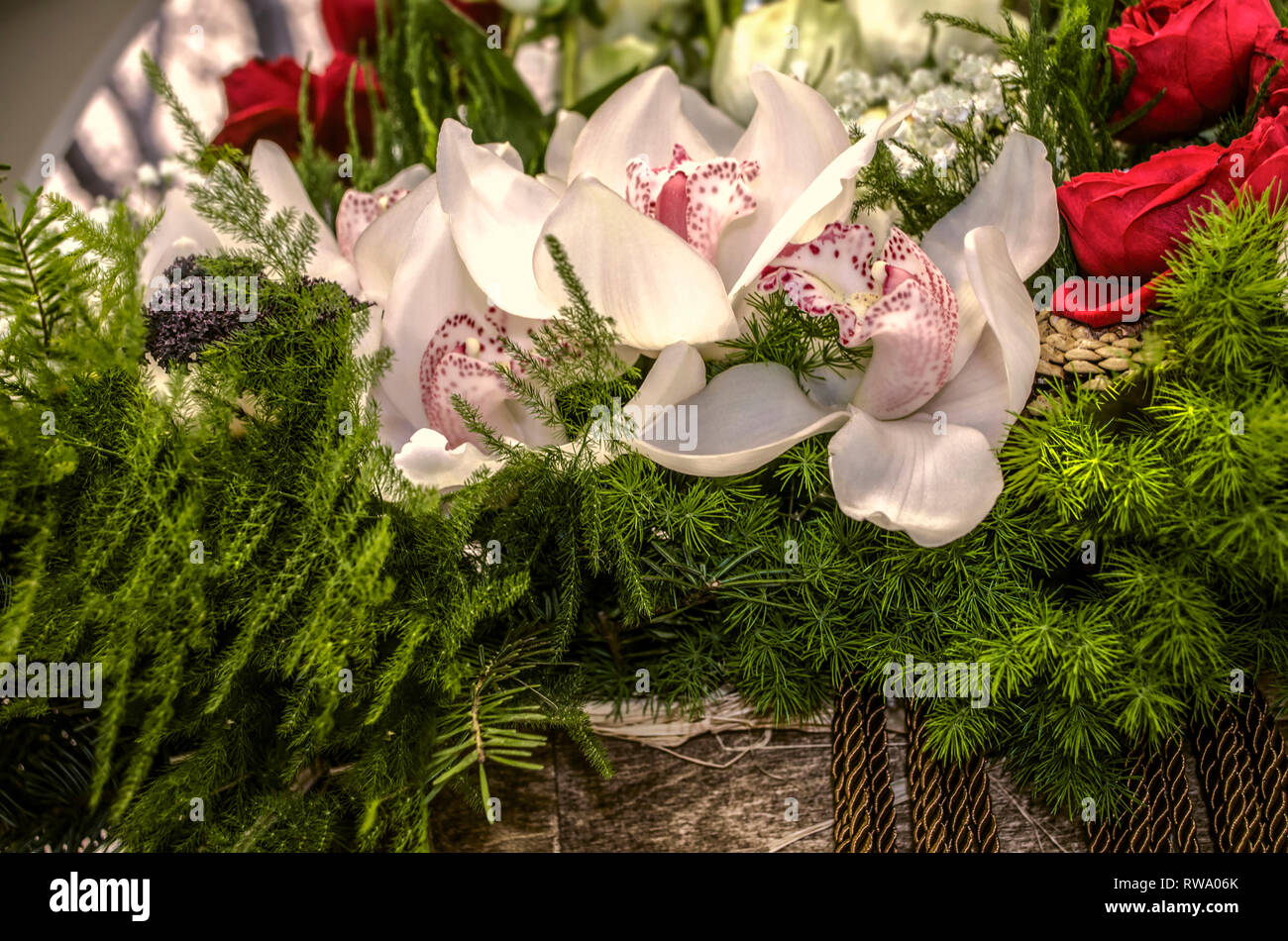 Le orchidee bianche con petali di rosa e granuli di puntinatura in medio, rose rosse incorniciato con asparagi e gypsophila in una scatola di vimini Foto Stock