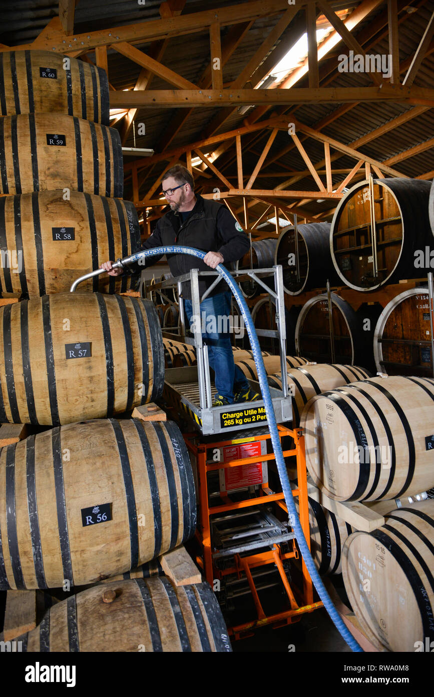 Boulard Calvados (brandy) distilleria nel Coquainvilliers (Normandia, a nord-ovest della Francia). Pays d'Auge Calvados, denominazione appartenenti allo Spirito Fr Foto Stock