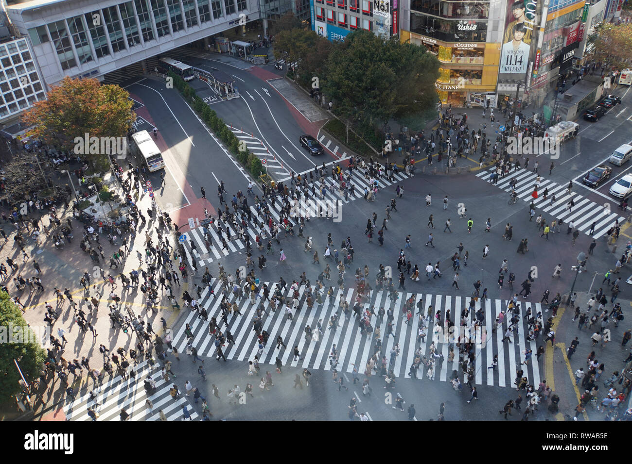 Vista in elevazione di una folla di pedoni che attraversano un modo quattro strisce pedonali nel centro di Tokyo, Giappone Foto Stock