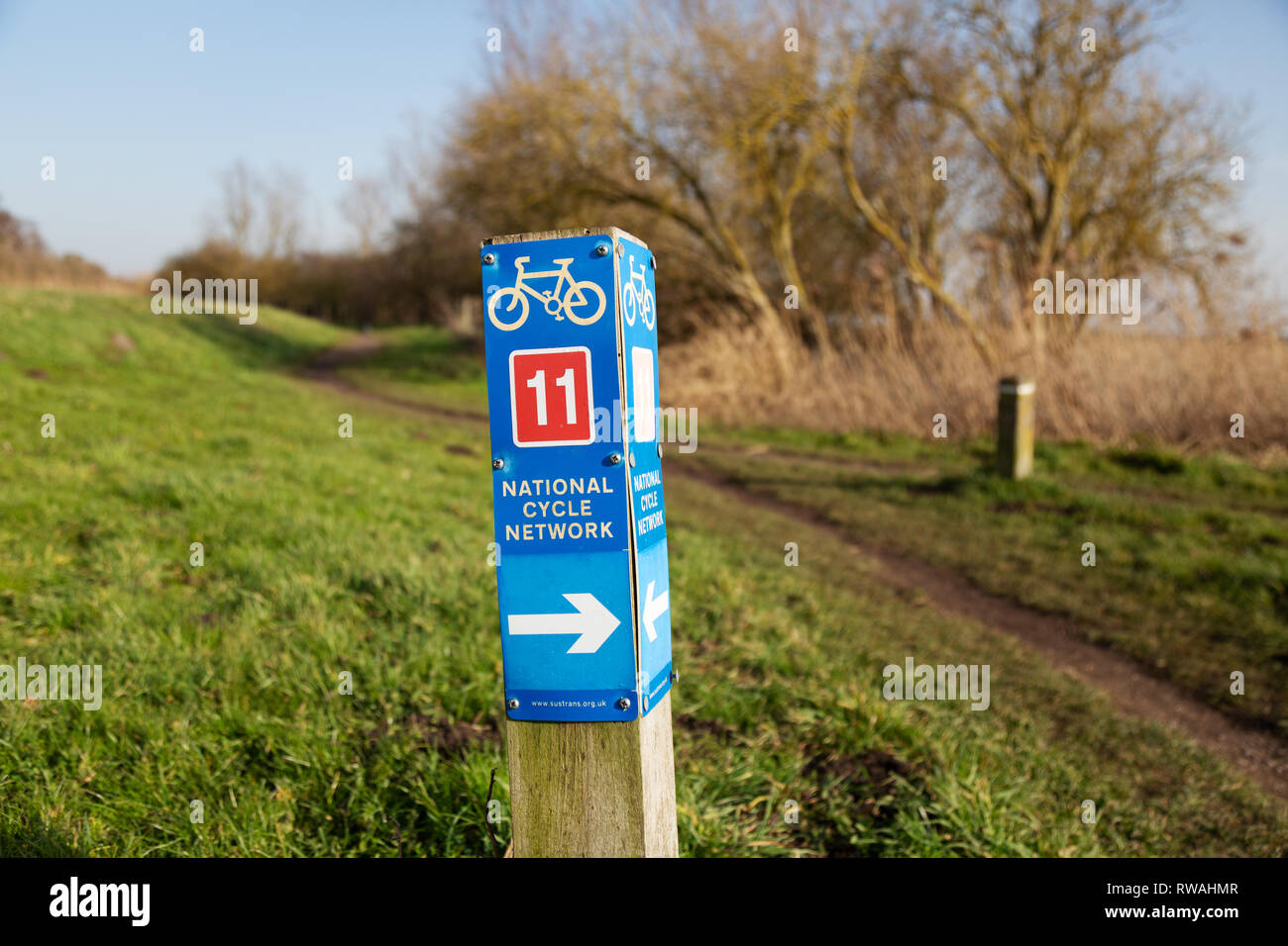 Ciclo nazionale Network sign, Cambridgeshire East Anglia UK Foto Stock