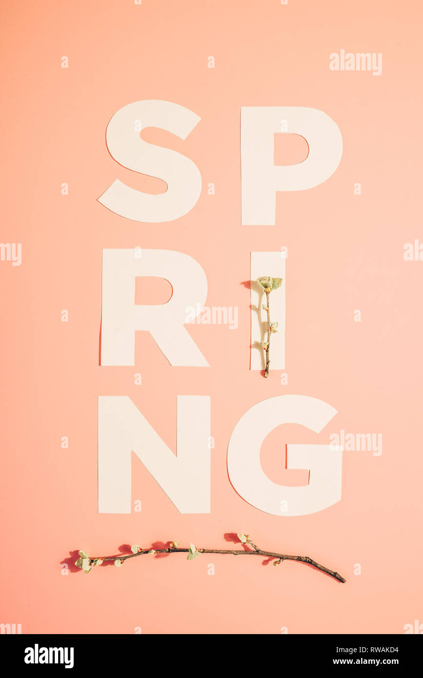 Layout creativi con iscrizione molla e rami fioriti su sfondo color pastello. Miminimalism Foto Stock