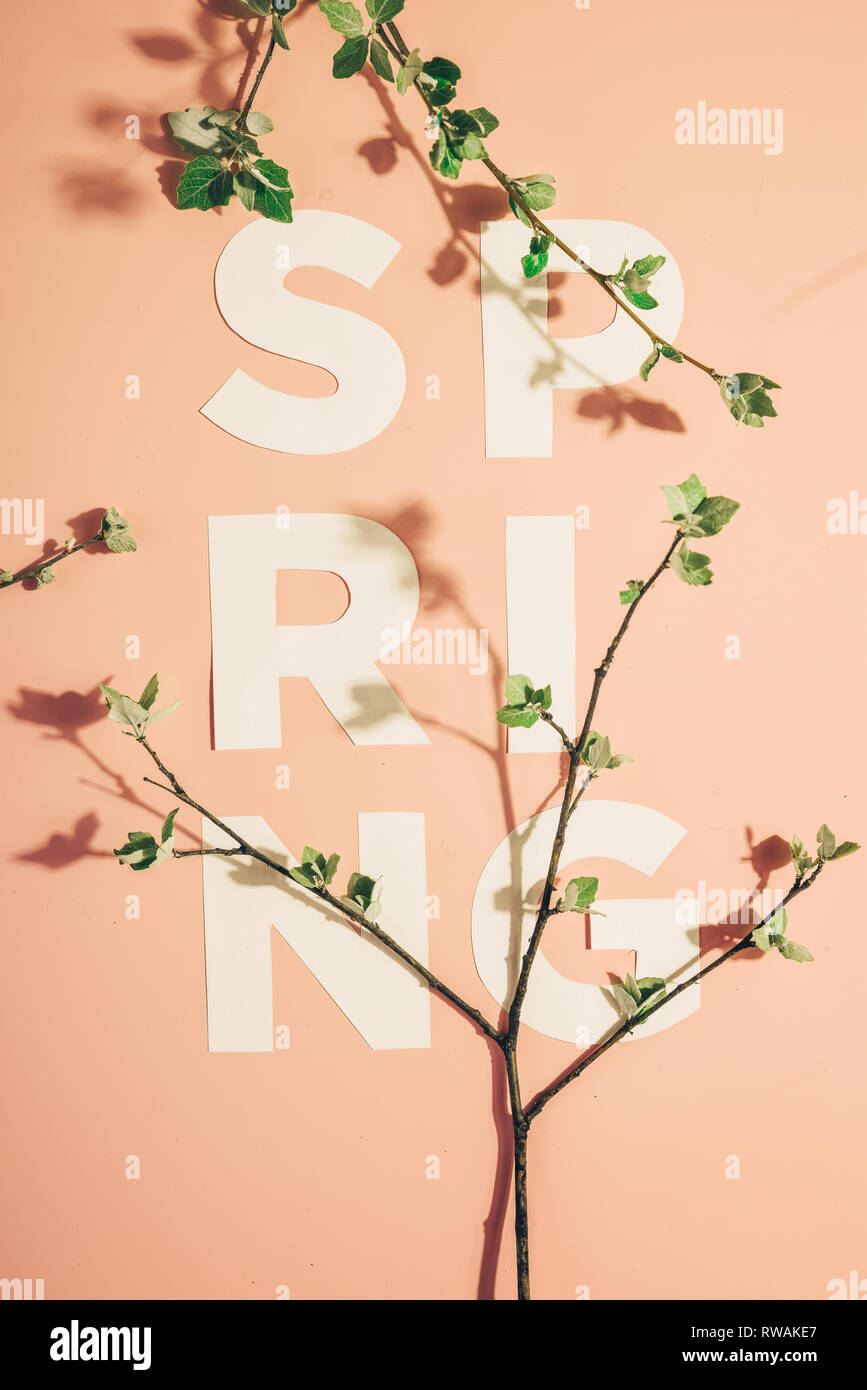 Layout creativi con iscrizione molla e rami fioriti su sfondo color pastello. Miminimalism Foto Stock