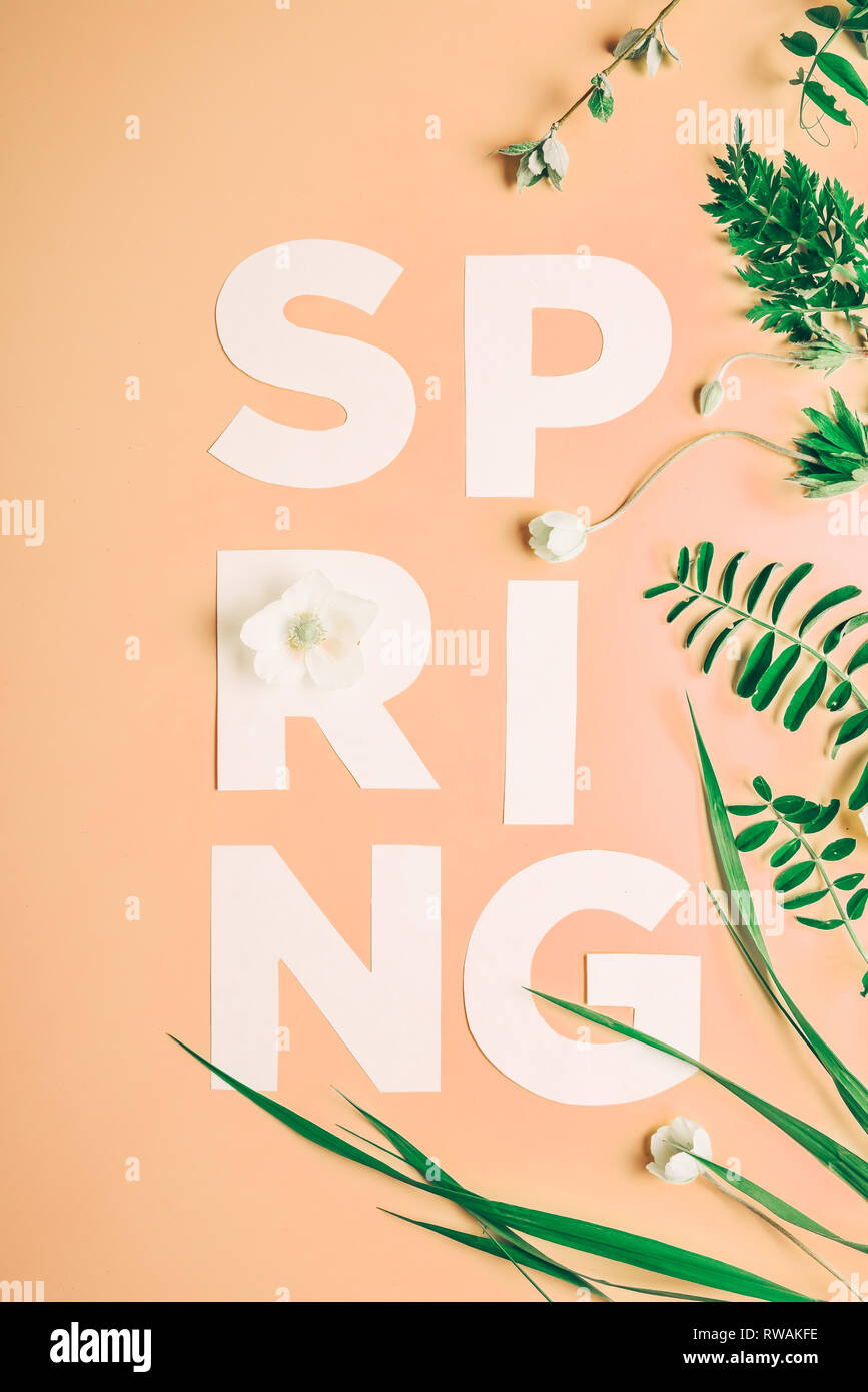 Layout creativi con iscrizione fiori di primavera e foglie su un sfondo rosa. Piatto minimalismo dei laici Foto Stock