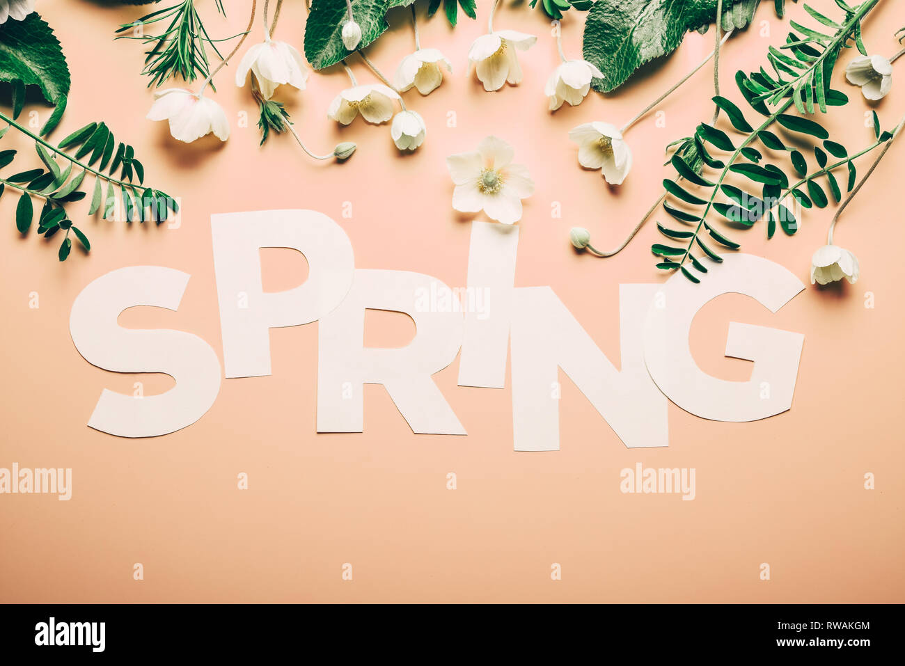 Layout creativi con iscrizione fiori di primavera e foglie su un sfondo rosa. Piatto minimalismo dei laici Foto Stock