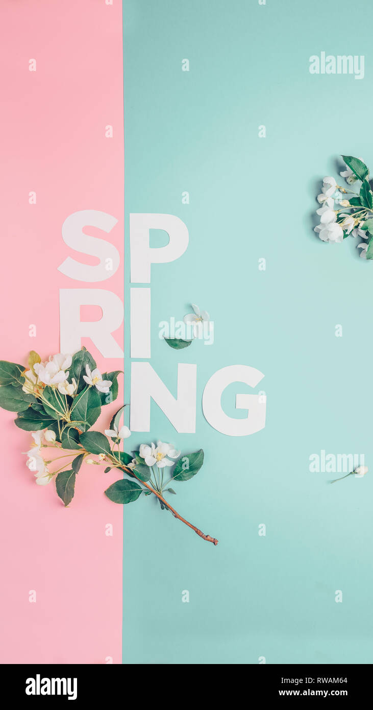 Layout creativi con rigogliosi alberi di Apple su uno sfondo blu. Lay piatto. Concetto - molla minimalismo Foto Stock