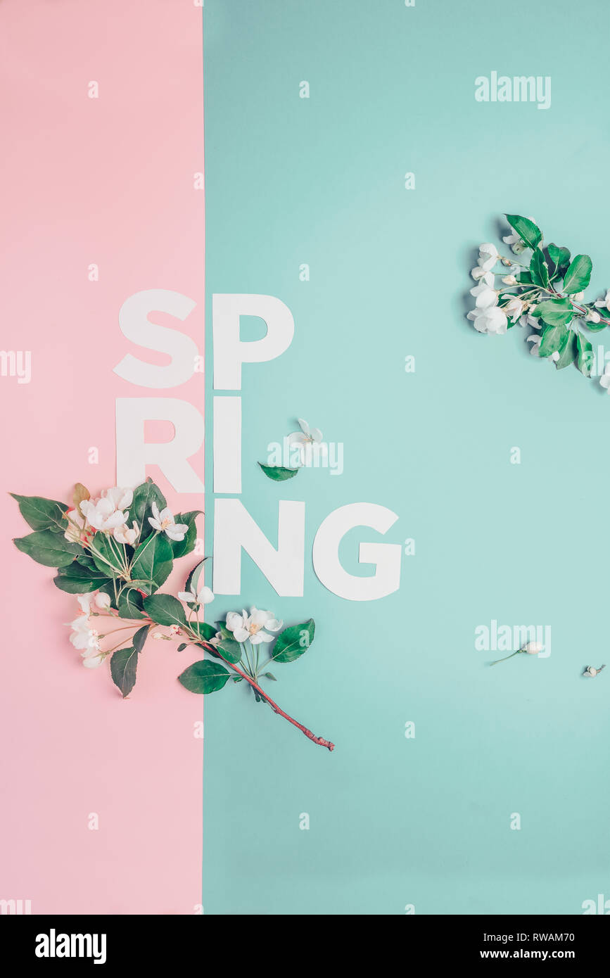 Layout creativi con rigogliosi alberi di Apple su uno sfondo blu. Lay piatto. Concetto - molla minimalismo Foto Stock