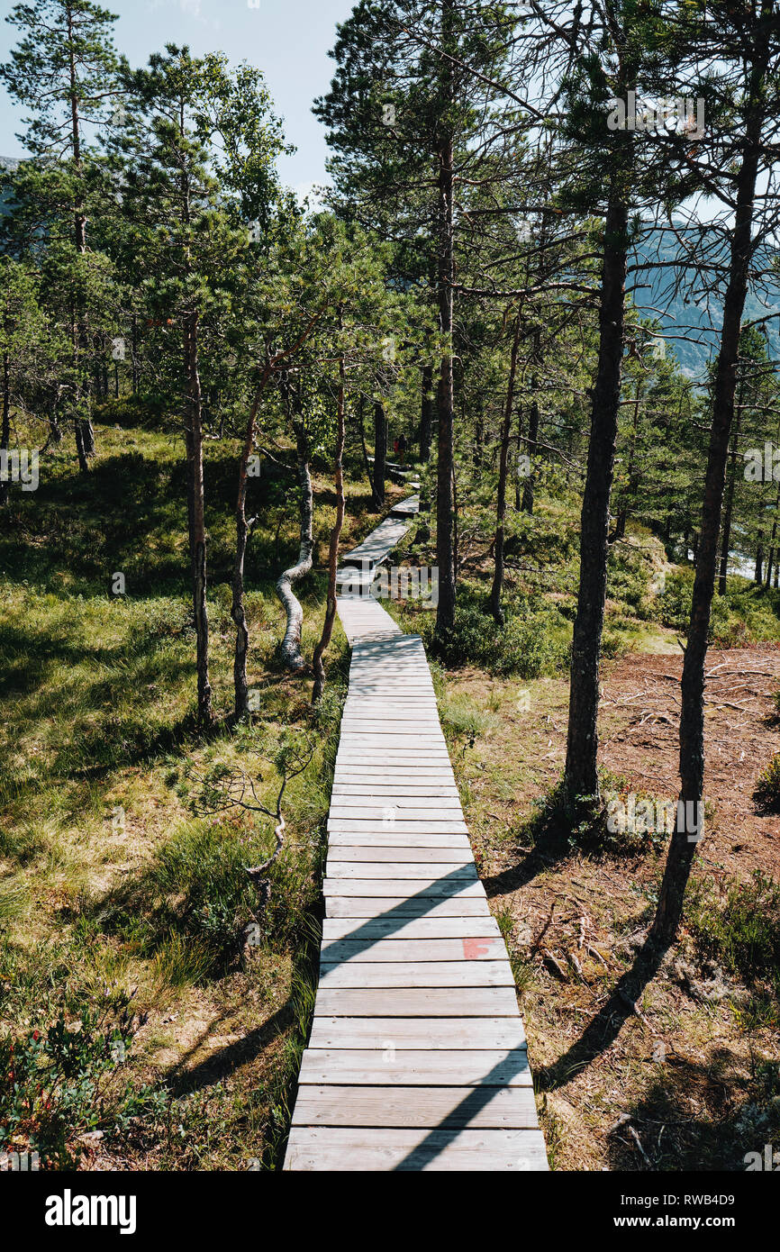 Un graticcio in legno sentiero percorso attraverso i boschi paesaggio montano di Gaularfjellet in Sogn og FjordaneNorway Foto Stock