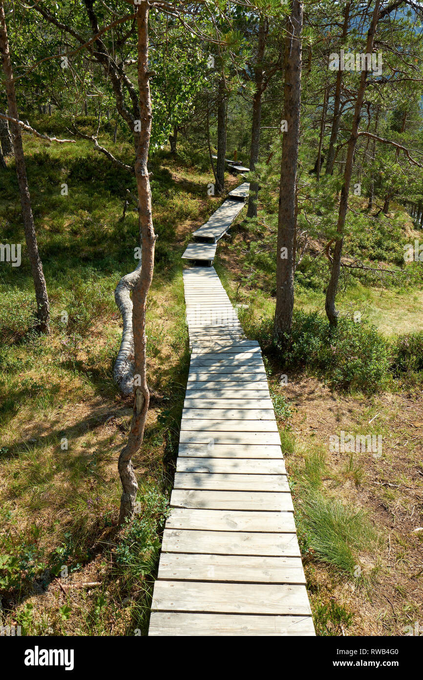 Un graticcio in legno sentiero percorso attraverso i boschi paesaggio montano di Gaularfjellet in Sogn og FjordaneNorway Foto Stock