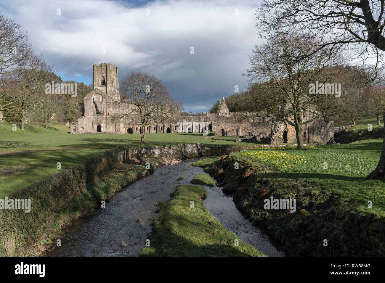 Fountains Abbey, Ripon North Yorkshire Foto Stock