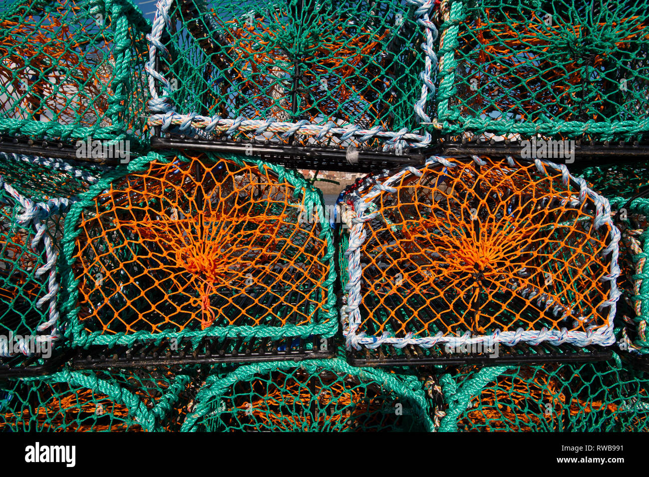 Close up di aragosta bicchieri impilati fino a Anstruther harbour Fife Scozia UK Foto Stock