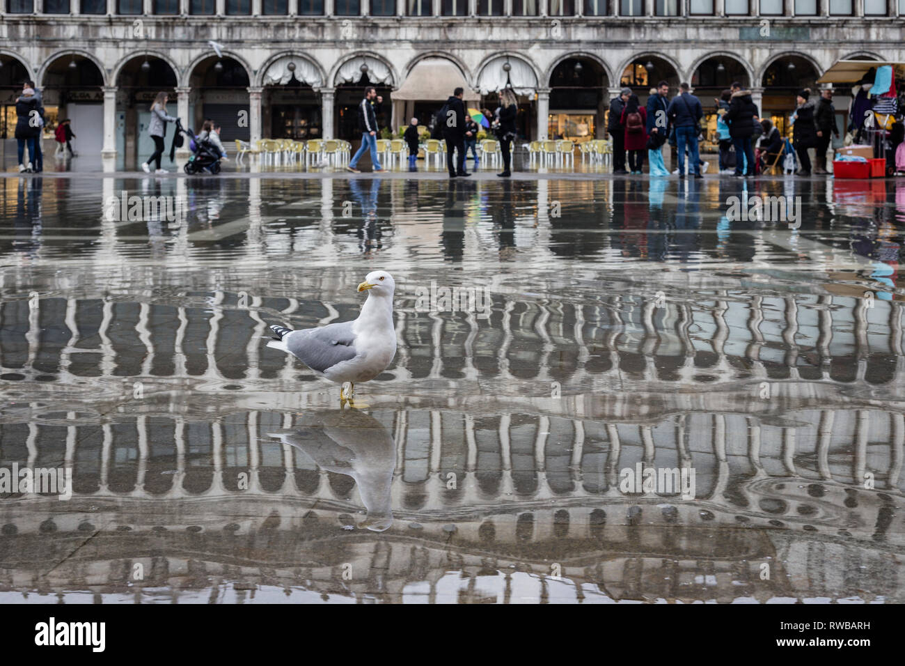Acqua alta (l'acqua alta in Piazza San Marco, Venezia, Italia Foto Stock