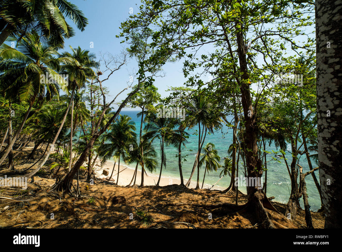 Una spiaggia pittoresca sull isola di Ross, ufficialmente conosciuta come Netaji Subhas Chandra Bose isola. Foto Stock