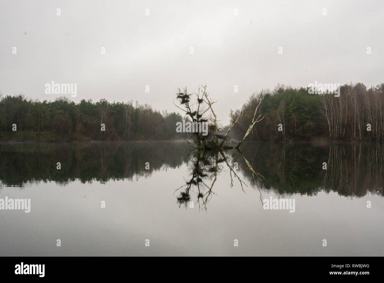 Seeaufnahmen bei Alzenau Foto Stock