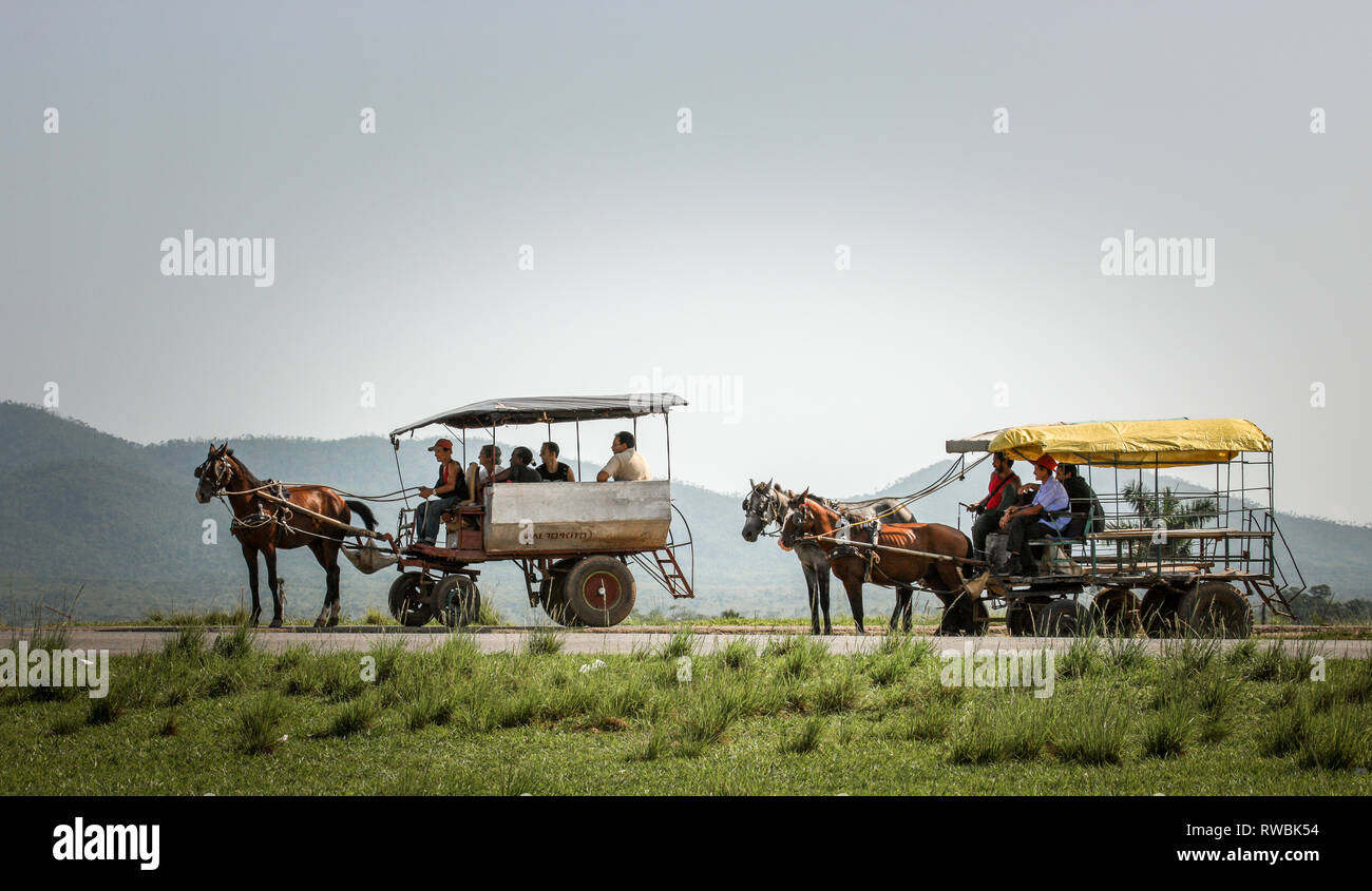 Artemisa, Cuba. 29 Maggio, 2009. Carrozze trainate da cavalli attendere per consentire ai passeggeri di arrivare e sono uno dei più popolari modi di trasporto nelle zone rurali di Cu Foto Stock