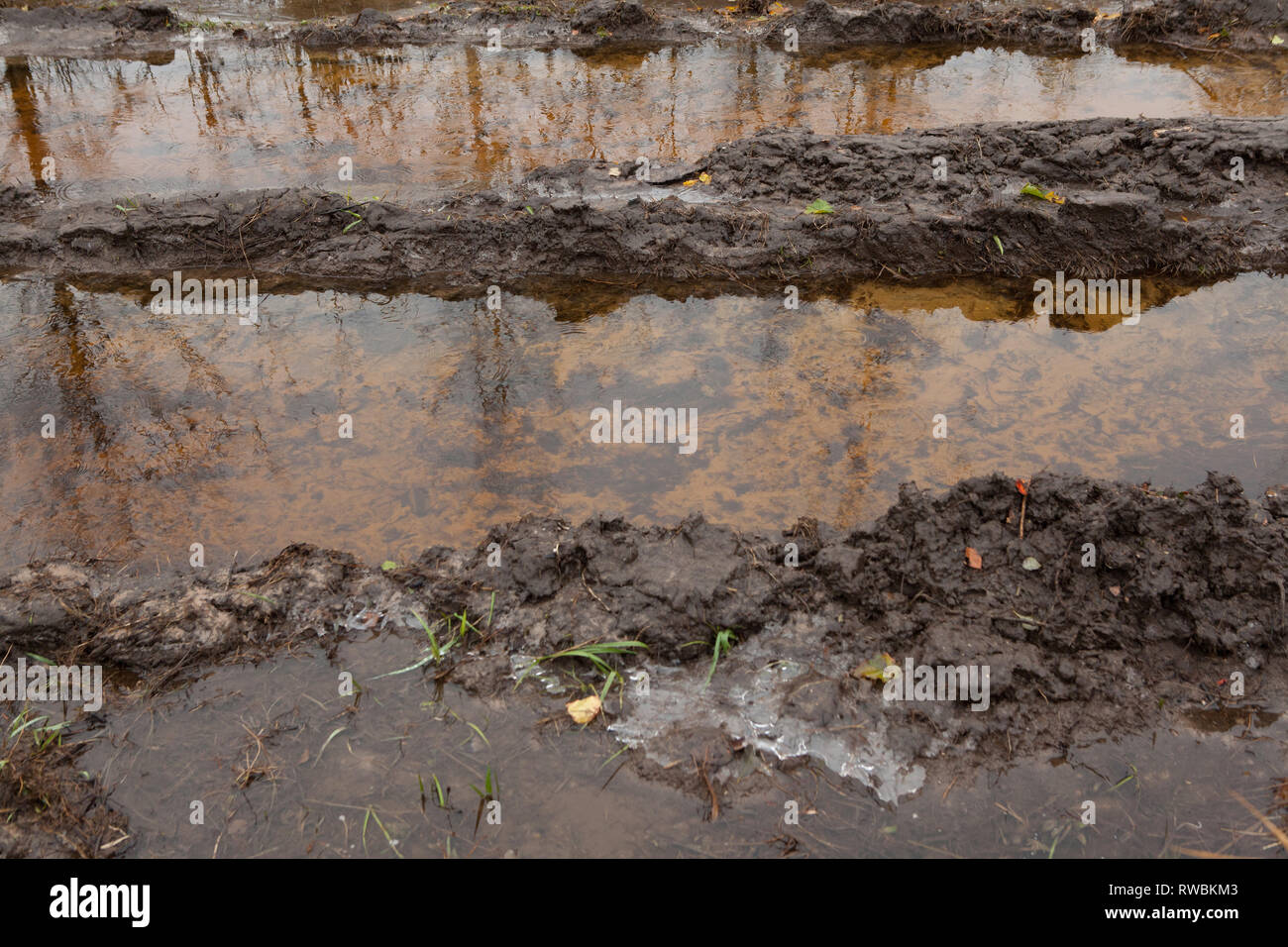 Acqua fangosa connesso via lo sporco dal disboscamento, dettaglio, Lettonia Foto Stock