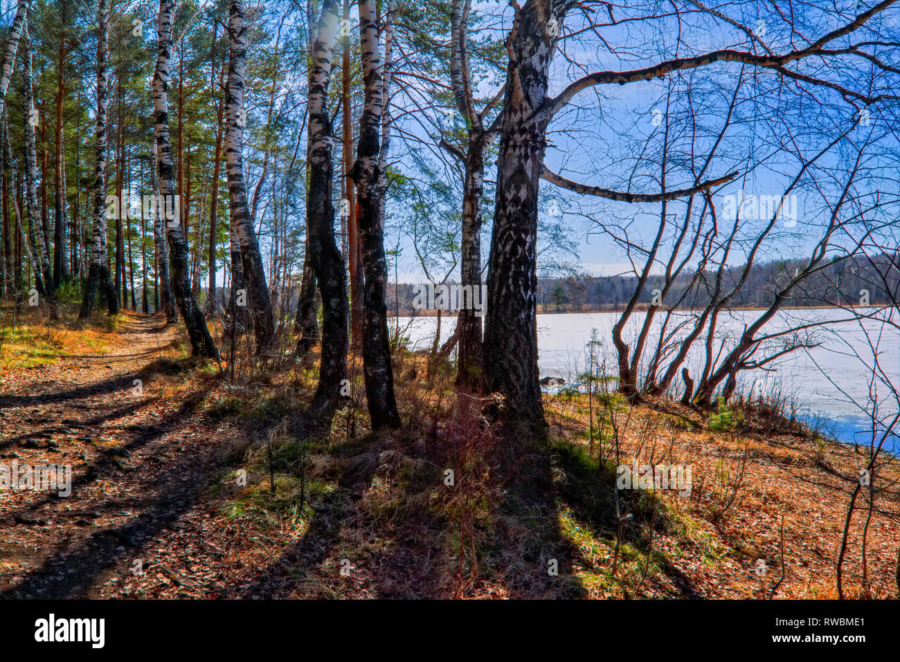 Il ghiaccio sul lago di foresta si fonde il paesaggio di primavera Foto Stock