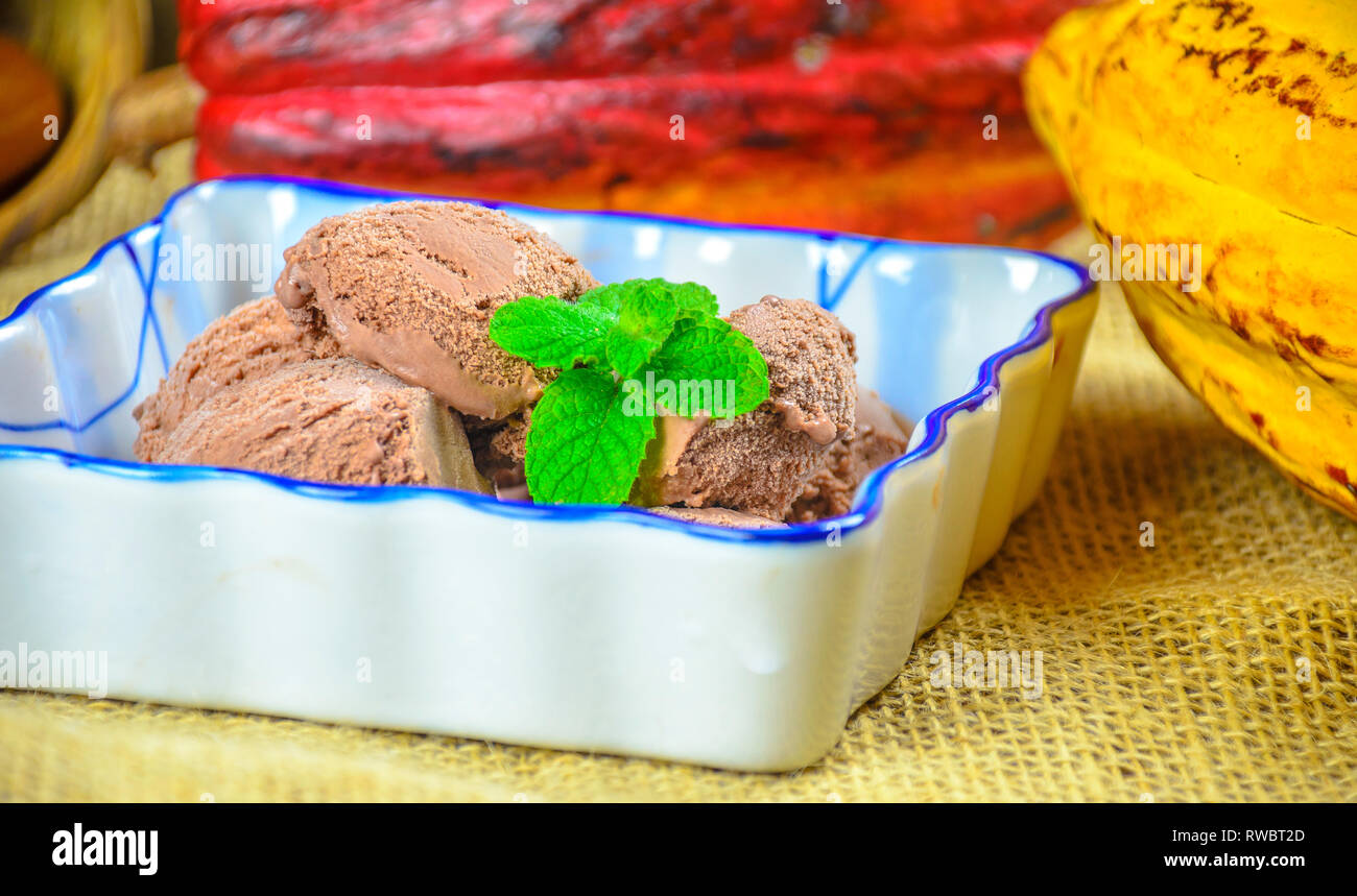 In casa fatto tutto artigianelmente gelato al cioccolato in una ciotola in ceramica con cucchiaino e cacao Cialde sullo sfondo. Foto Stock