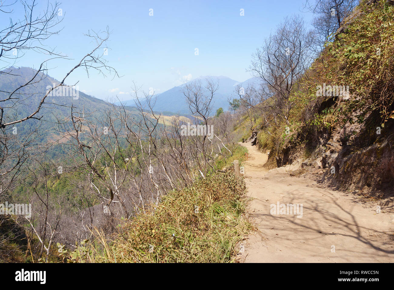 Escursioni sentiero polveroso asian paese tropicale. Soft immagine per lo sfondo. Foto Stock