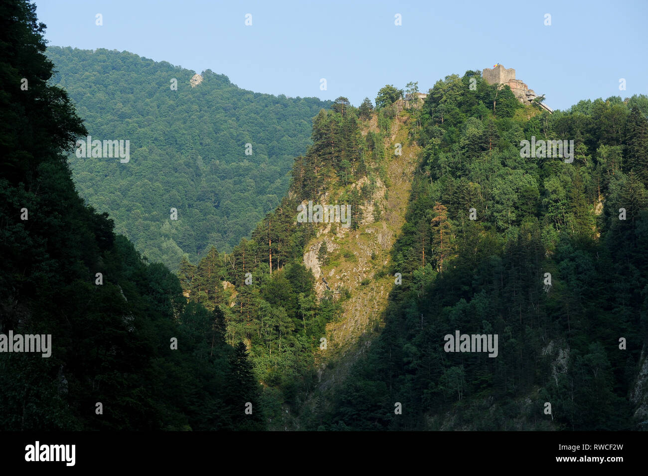 Cetatea gotico Poenari Poenari (castello) in Poenari, Romania. Il 18 luglio 2009, costruita nel XIII secolo e ricostruita nel XV secolo da Vlad l'Impalatore voivo Foto Stock