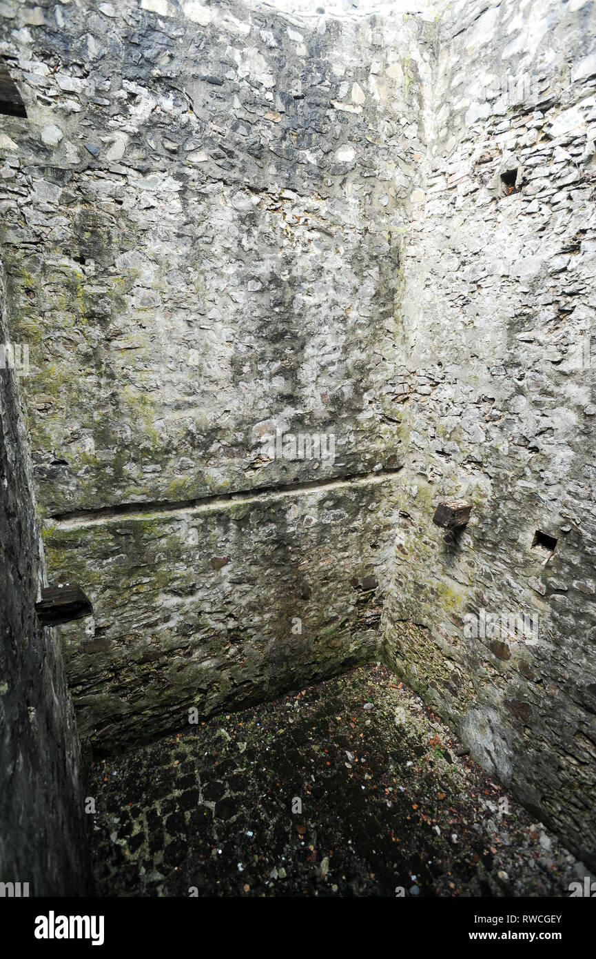 Cetatea gotico Poenari Poenari (castello) in Poenari, Romania. 19 luglio 2009, costruita nel XIII secolo e ricostruita nel XV secolo da Vlad l'Impalatore voivo Foto Stock