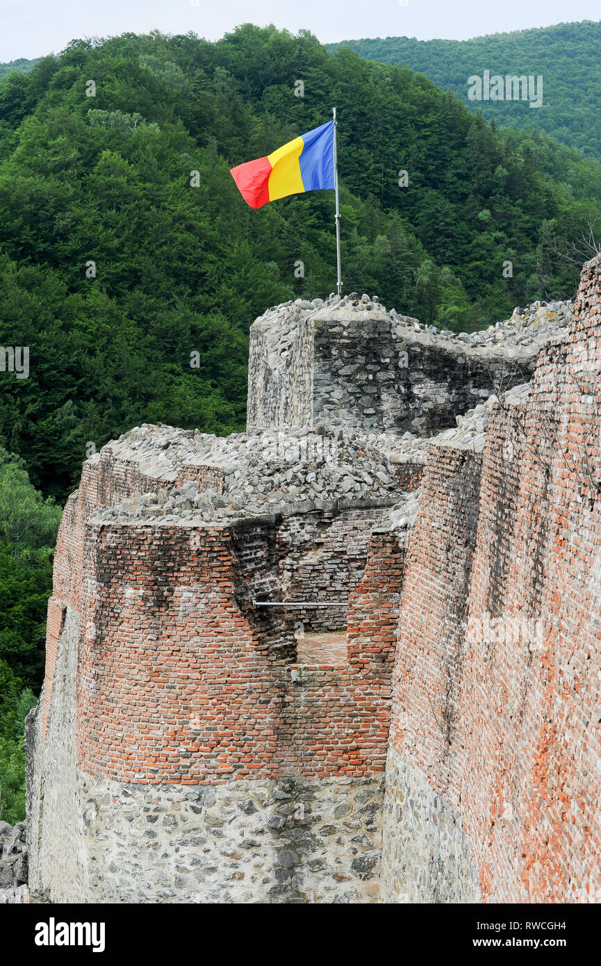 Cetatea gotico Poenari Poenari (castello) in Poenari, Romania. 19 luglio 2009, costruita nel XIII secolo e ricostruita nel XV secolo da Vlad l'Impalatore voivo Foto Stock