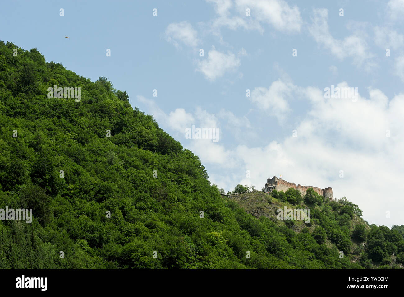Cetatea gotico Poenari Poenari (castello) in Poenari, Romania. 19 luglio 2009, costruita nel XIII secolo e ricostruita nel XV secolo da Vlad l'Impalatore voivo Foto Stock