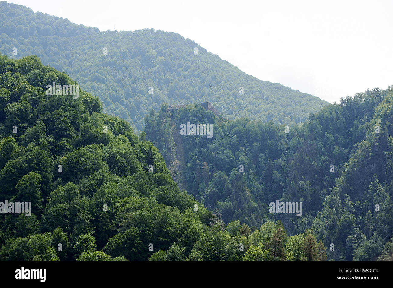 Cetatea gotico Poenari Poenari (castello) in Poenari, Romania. 19 luglio 2009, costruita nel XIII secolo e ricostruita nel XV secolo da Vlad l'Impalatore voivo Foto Stock