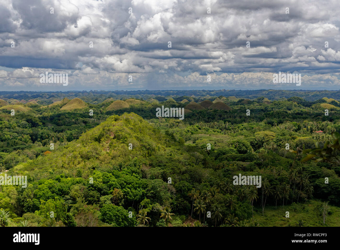 Isola di Bohol, Filippine. Aprile, 2018. Vista generale della Nazionale monumento geologico delle colline di cioccolato a Bohol Island, Filippine. Foto Stock