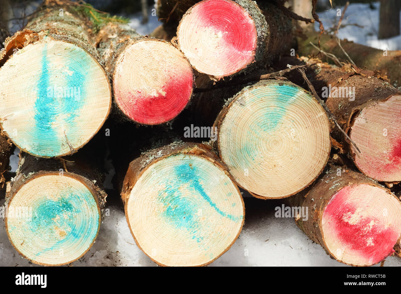 L'industria forestale materiale grezzo Foto Stock