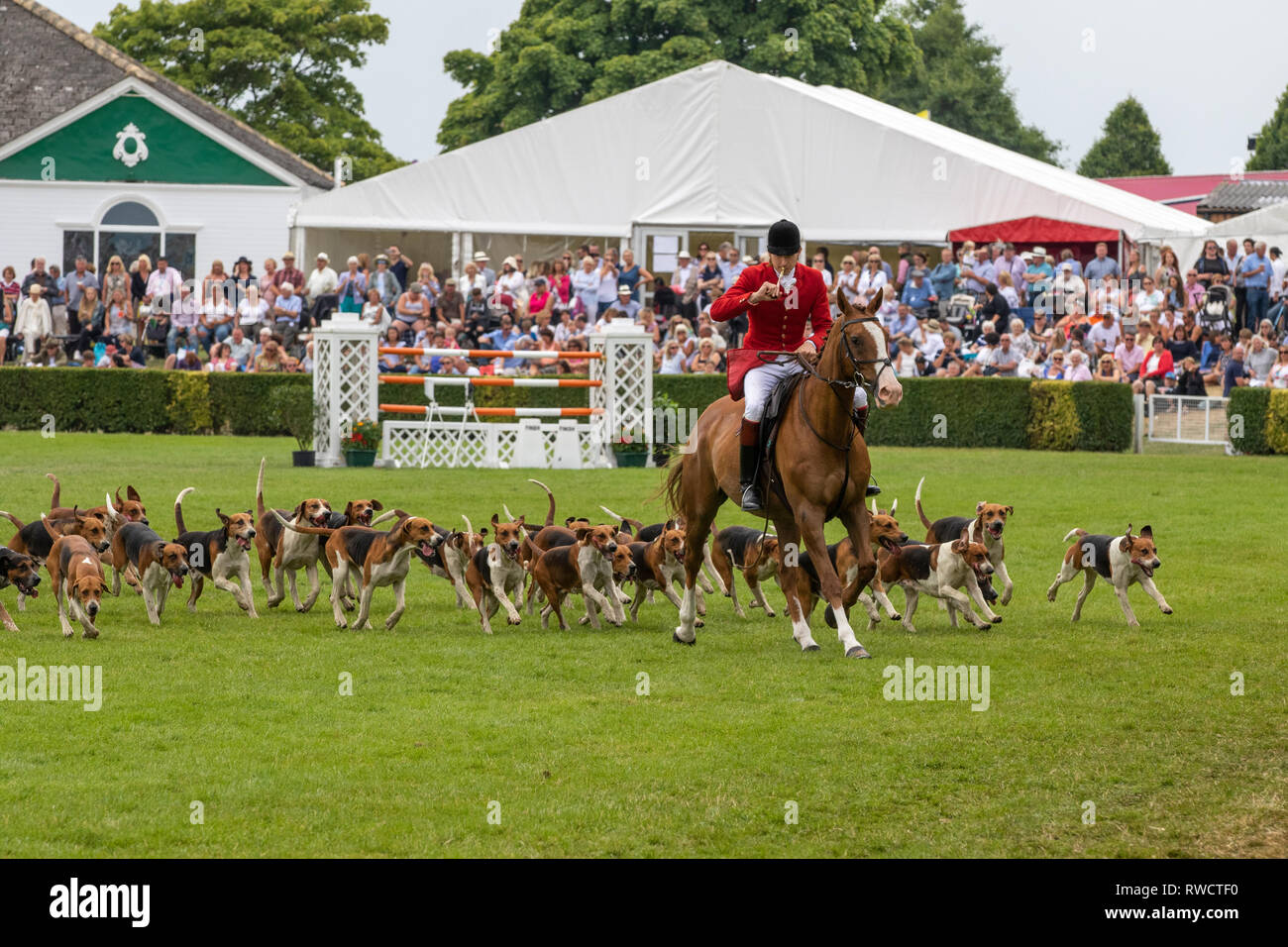 Harrogate, North Yorkshire, Regno Unito - Luglio 12th, 2018: Hunt leader hanno portato decine di segugi nell'anello principale presso la grande Yorkshire Visualizza il 12 luglio 2018 un Foto Stock