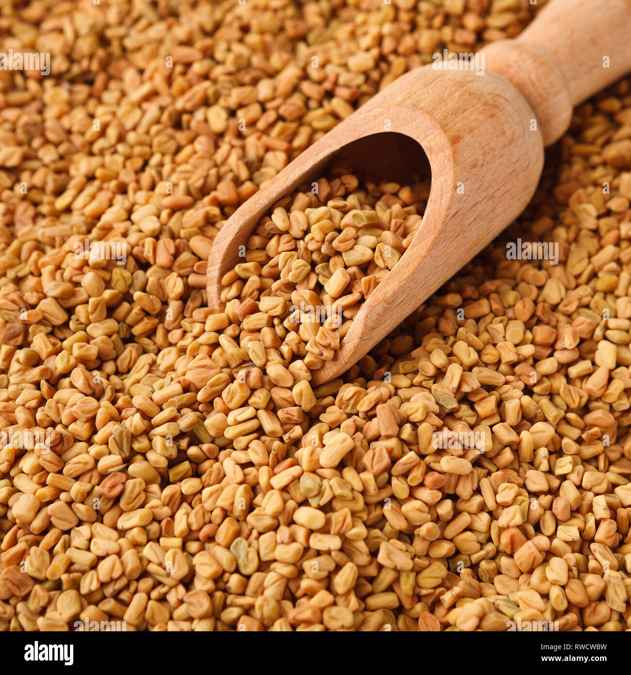 Brown aromatico Semi di fieno greco isolati su sfondo bianco Foto Stock