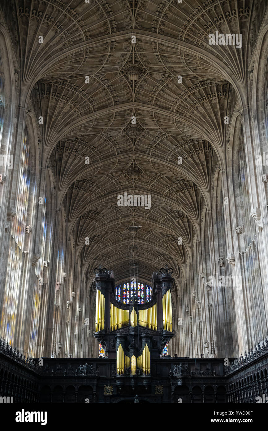 L'interno della Cappella del King's College in King's College di Cambridge.  L'organo è mostrato insieme con gli enormi archivi Foto stock - Alamy