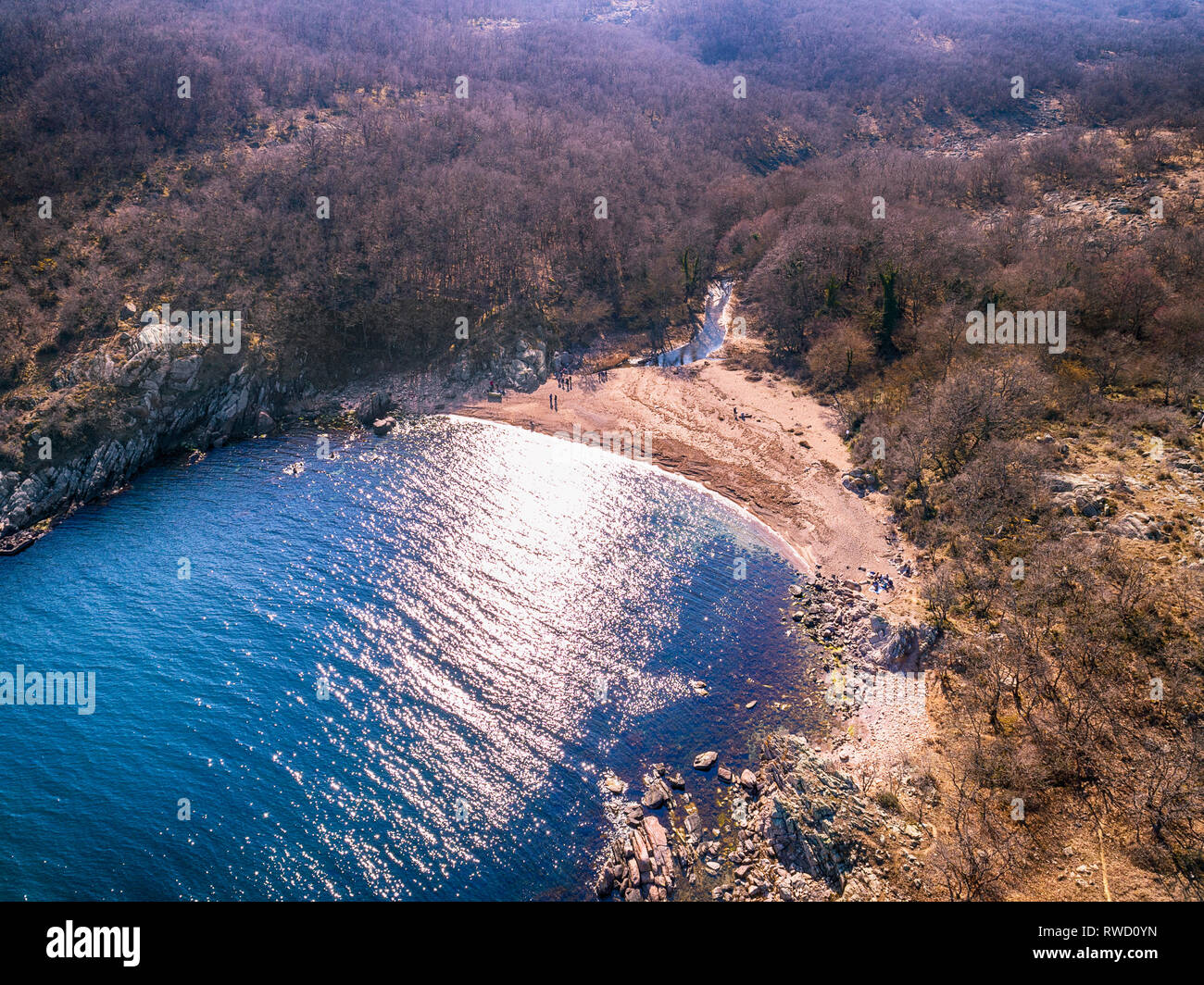 Vista aerea su di una piccola baia con una spiaggia selvaggia, situato nella foresta, Paraskeva Bay, Bulgaria Foto Stock