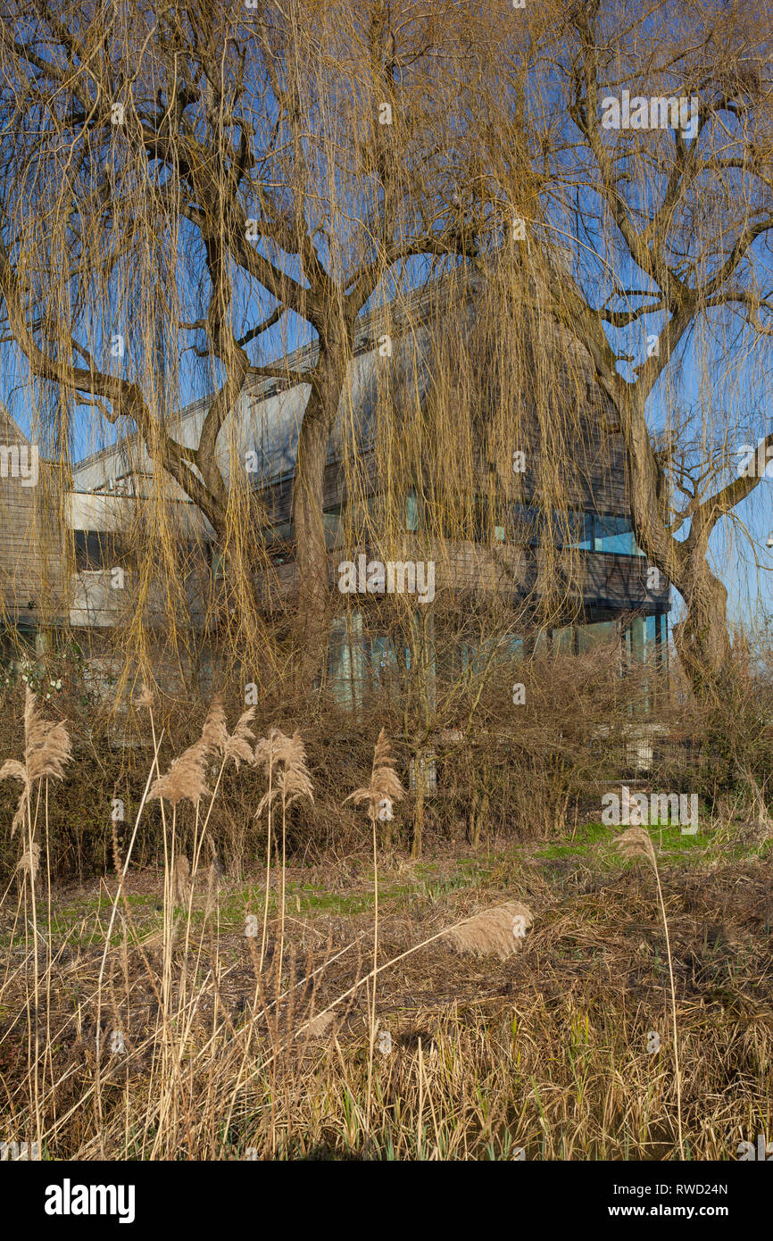 La quercia clad River & Rowing Museum si fonde nel paesaggio invernale a Henley-on-Thames, disegnato da David Chipperfield Architects. Foto Stock