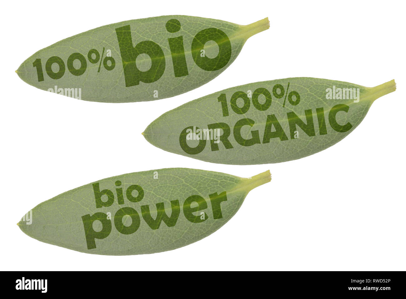 Imposta icona con tre foglie verdi e le iscrizioni organico 100%, 100% organici e bio power Foto Stock
