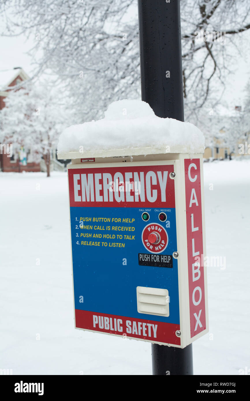 Callbox di emergenza presso lo Smith College di Northampton, MA dopo una grande tempesta di neve. Foto Stock