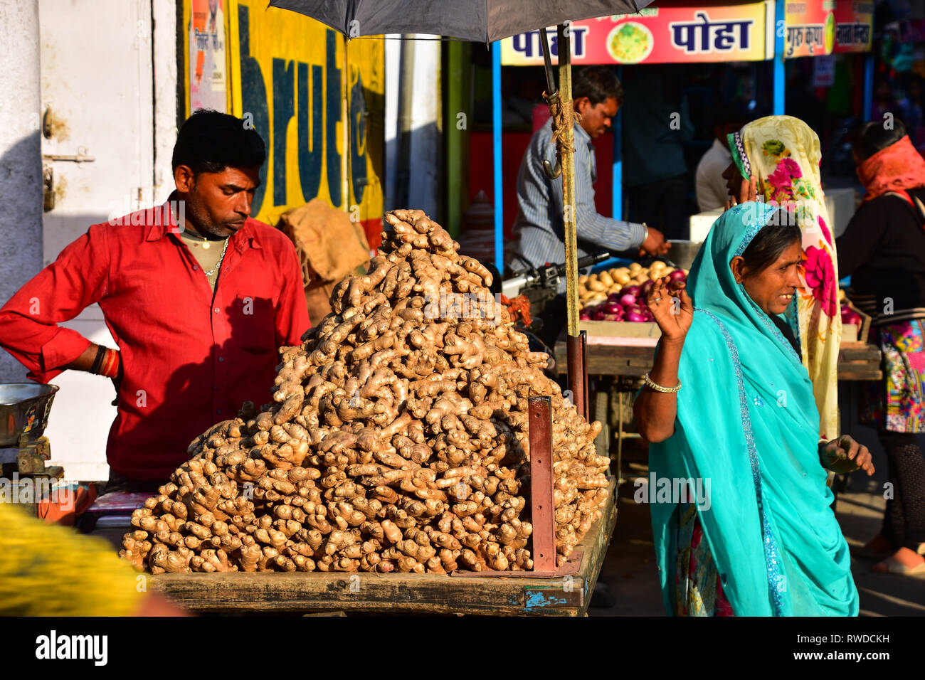 Scene di mercato, radice di zenzero fornitore, Chittorgarh, Rajasthan, India Foto Stock