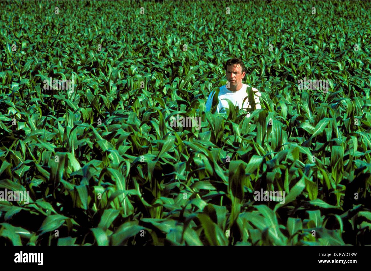 KEVIN COSTNER, campo di sogni, 1989 Foto Stock