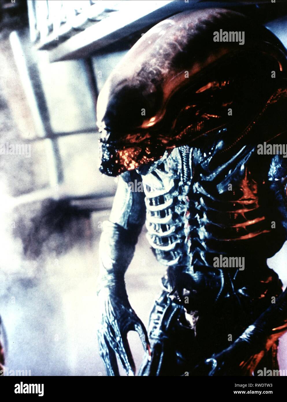 ALIEN , ALIEN, 1979 Foto Stock